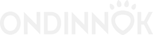 Logo_Ondinnok_Blanc-1.webp